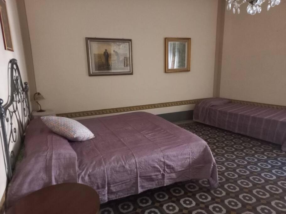 La Casa Maestri A Cetona Villa Bagian luar foto